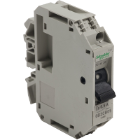 GB2CB05 - TeSys GB2 - thermal-magnetic circuit breaker - 1P - 0.5 A - Id = 6.6 A , Schneider Electric