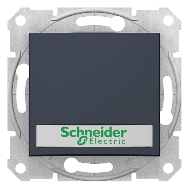 SDN1700470 - Sedna - 1pole pushbutt - 10A 12V~ label, locator light, without frame graphite, Schneider Electric