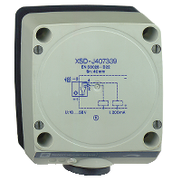 XSDH407339 - Senzor inductiv XSD 80x80x40 - plastic - Sn40mm - 12..48Vc.c. - terminale, Schneider Electric